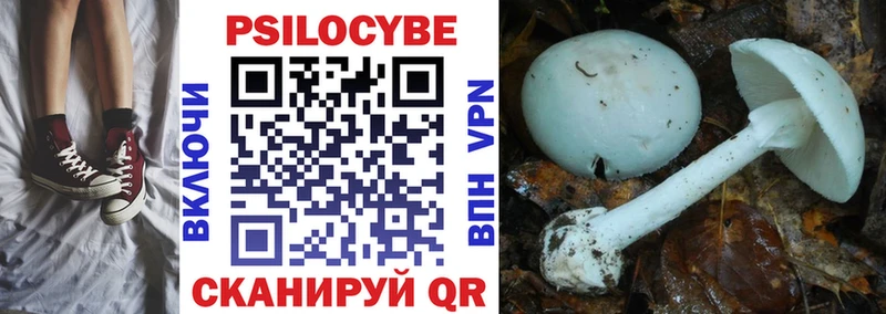 МЕГА зеркало  Приволжский  Псилоцибиновые грибы Psilocybe  закладки 