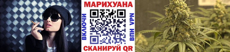 Канабис конопля  Приволжский 